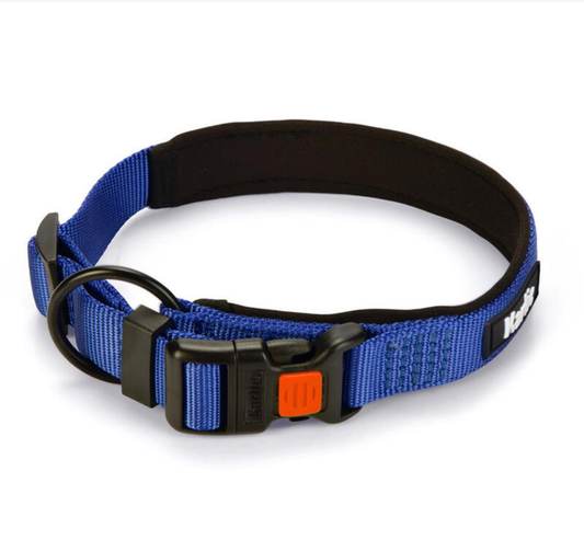 Collar Sportiv Premium Acolchado Azul 30mm x 60-65cm con Cierre de Seguridad
