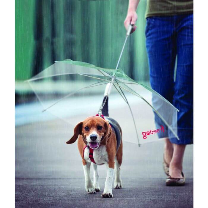 Paraguas para perros - 45cm