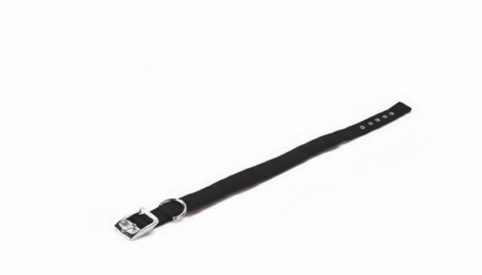 Collar Nylon Acolchado Negro 15mm x 45cm