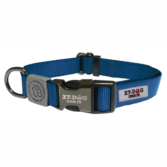 Collar Classic XT-DOG azul talla xs