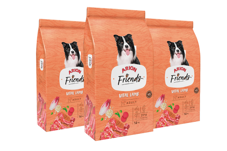 Arion Friends Vital Pienso con Cordero para Perros Adultos – 3 kg