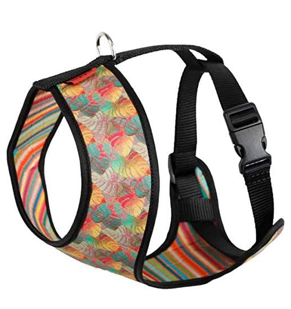 Arnés ACC Plus Florida T S