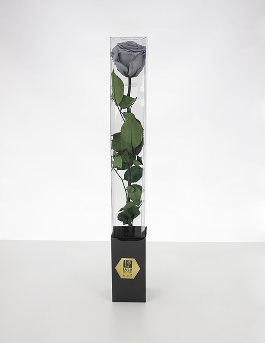 Lulu Rose Rosa preservada Gris con Tallo 50cm
