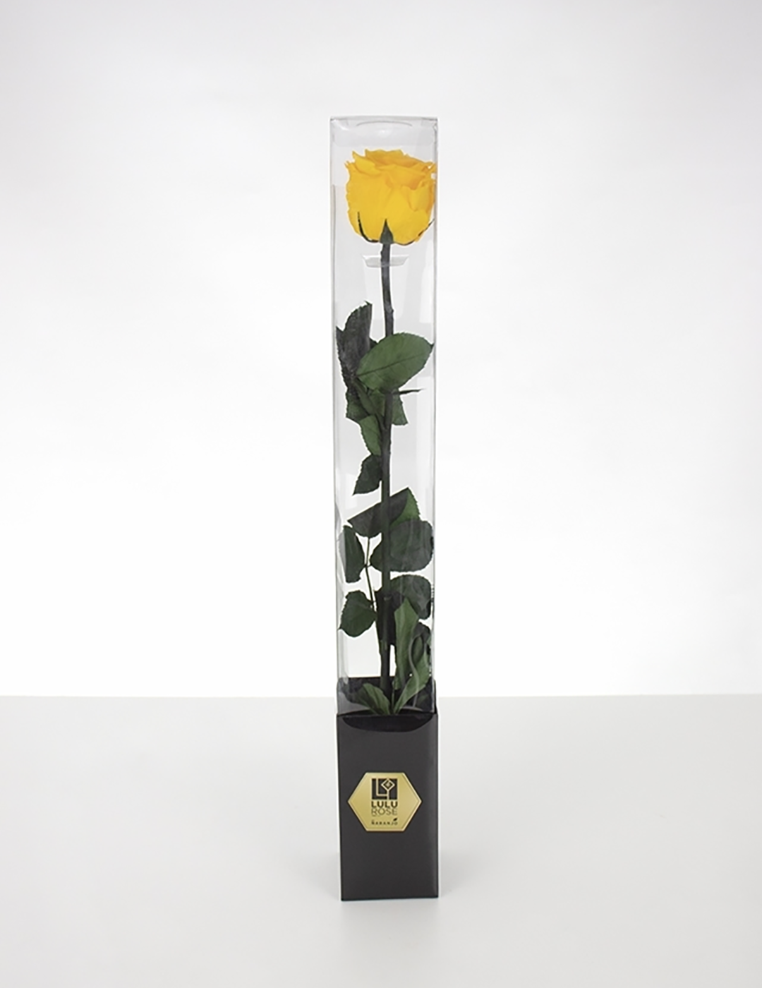 Lulu Rose Rosa preservada Amarilla con Tallo 50cm