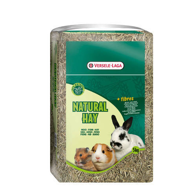 Versele-Laga Heno Natural 5kg – Heno de primera calidad para conejos, cobayas, chinchillas y degús