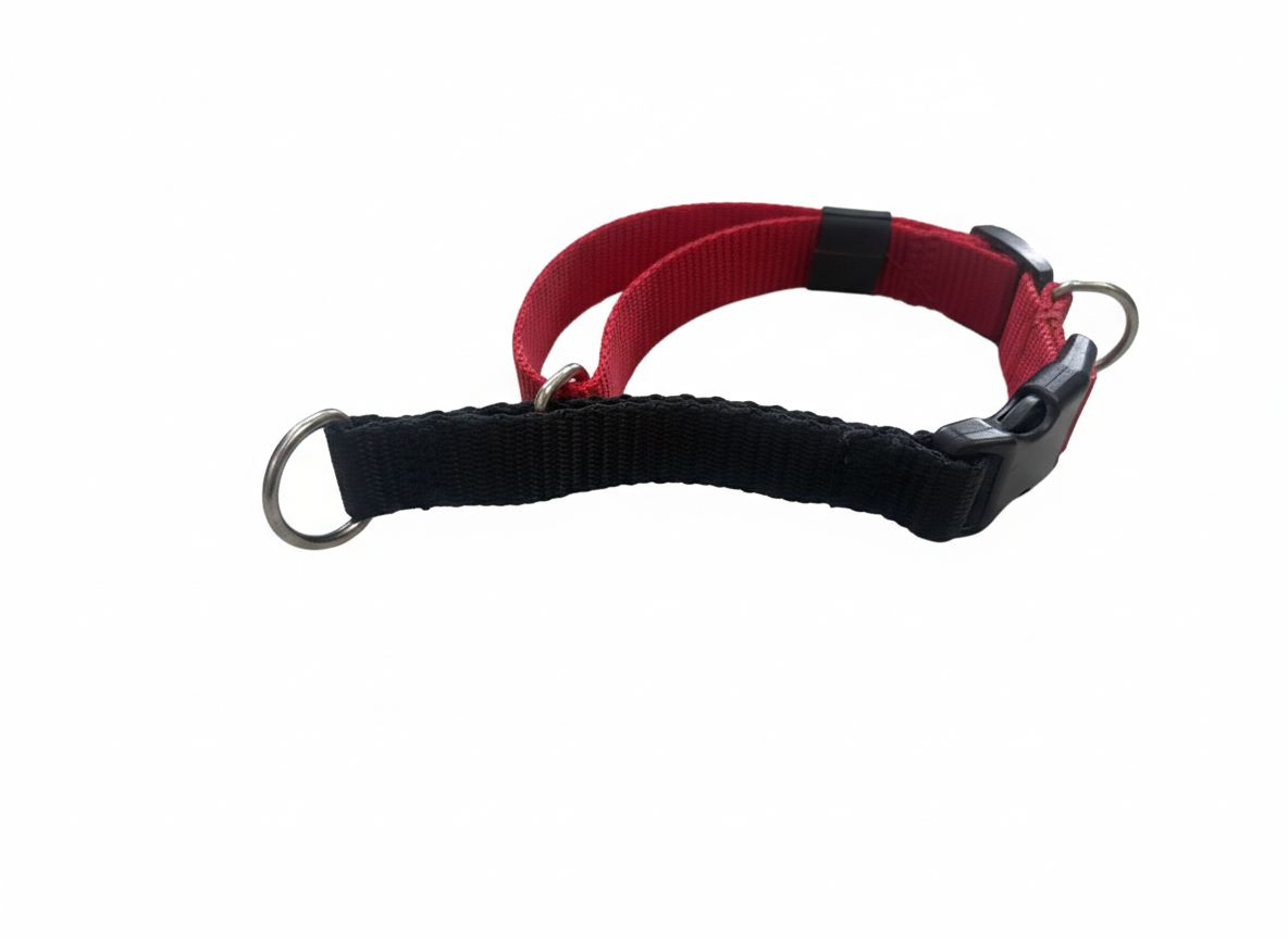 Collar Nylon Educativo Rojo y Negro 27-50cm