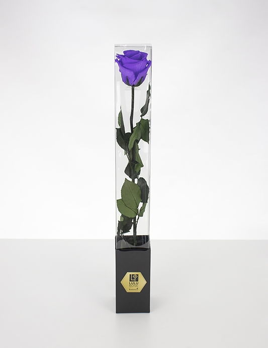 Lulu Rose Rosa preservada Lavanda con Tallo 50cm
