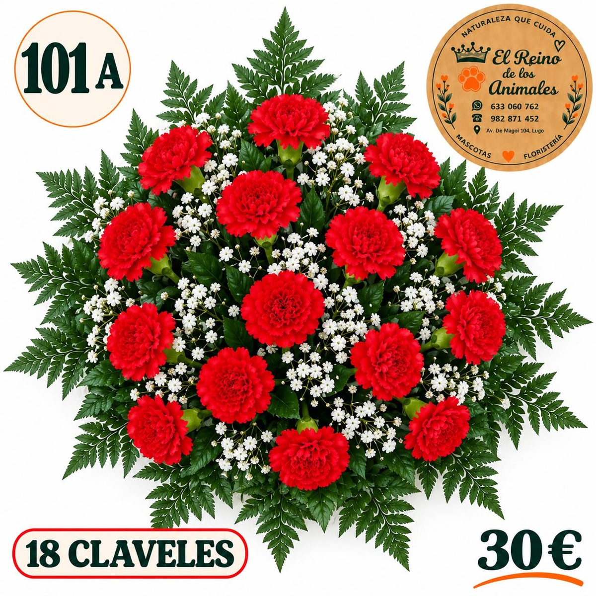 Centro de flores nº101 A con 18 claveles rojos, paniculata blanca y helechos