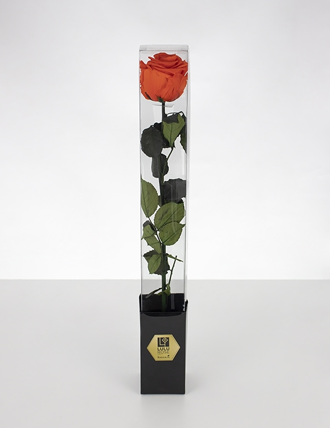Lulu Rose Rosa preservada Naranja con Tallo 50cm