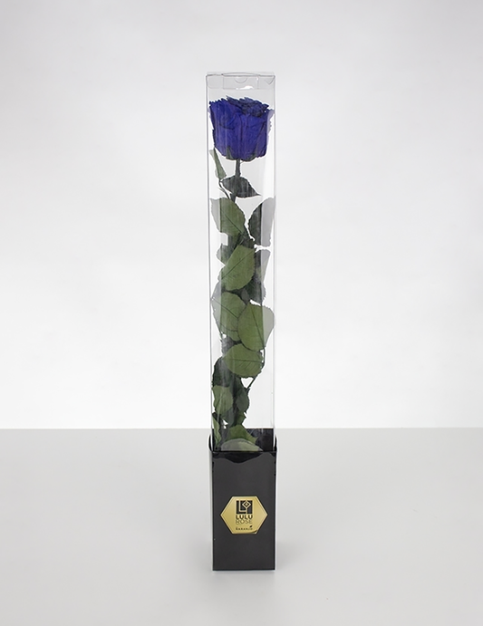 Lulu Rose Rosa preservada Azul con Tallo 50cm