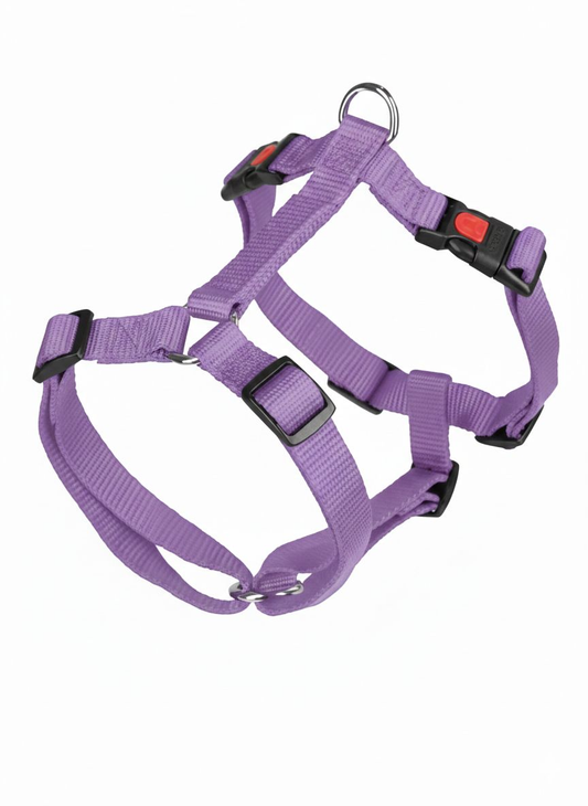 Arnés Nylon Lila 25mm x 58-78 cm