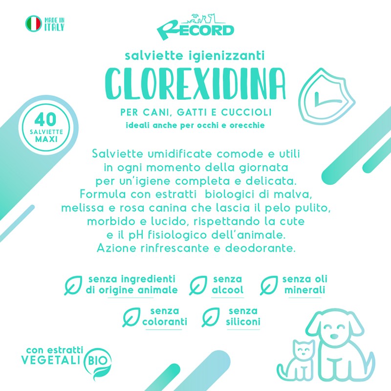Record Toallitas Higienizantes Clorexidina – información del producto